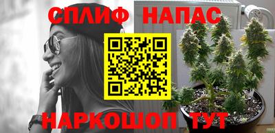 бошки Ирбит