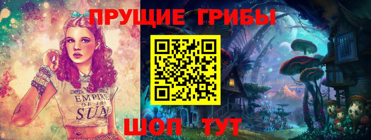 Людиново  Псилоцибиновые грибы Psilocybe  Вход с VPN 